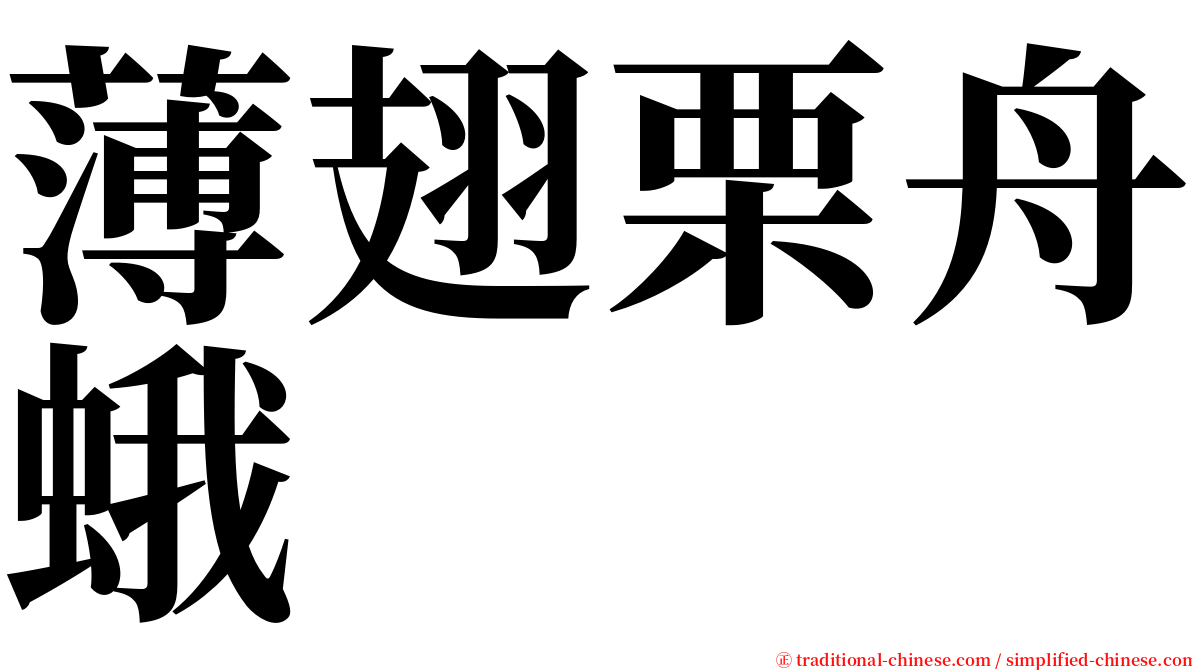 薄翅栗舟蛾 serif font