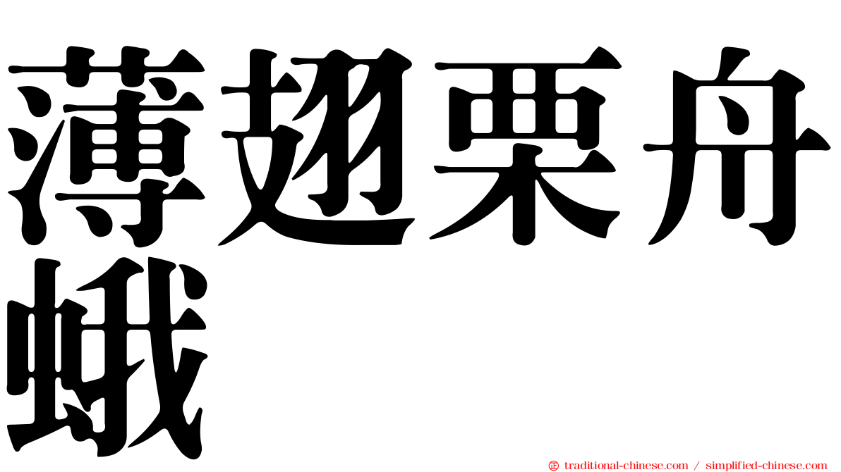 薄翅栗舟蛾
