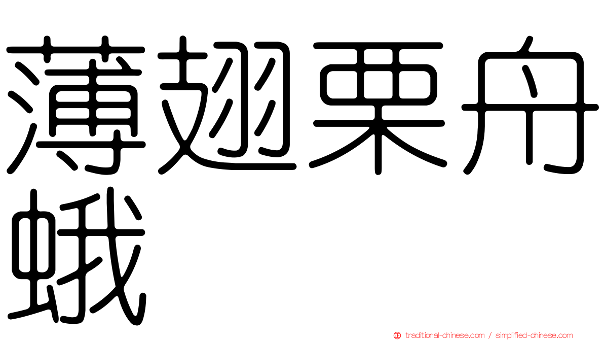 薄翅栗舟蛾