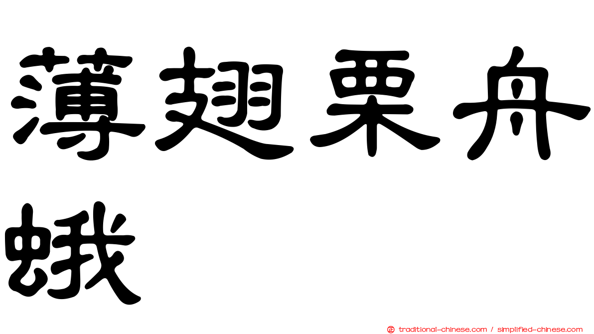 薄翅栗舟蛾