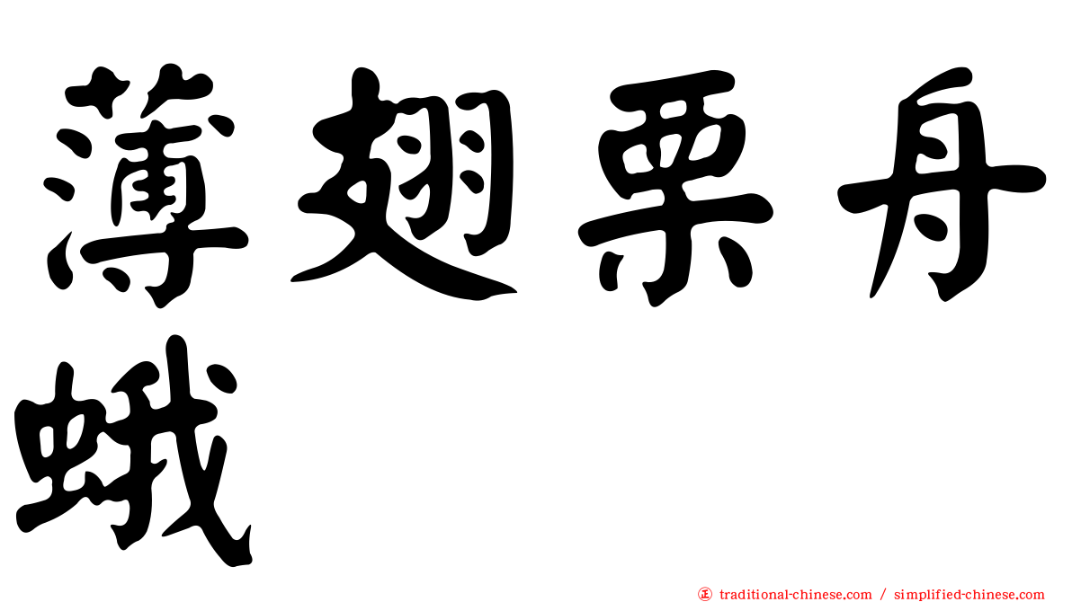 薄翅栗舟蛾