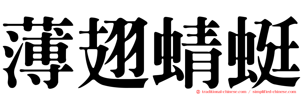 薄翅蜻蜓