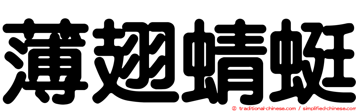 薄翅蜻蜓