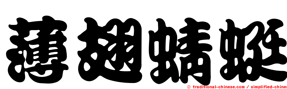 薄翅蜻蜓