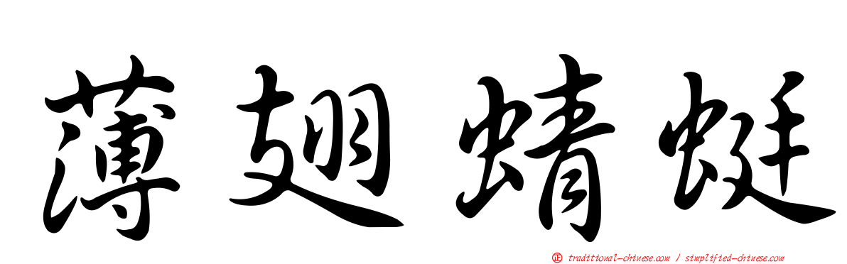 薄翅蜻蜓