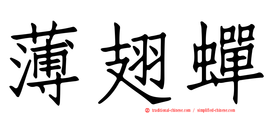 薄翅蟬