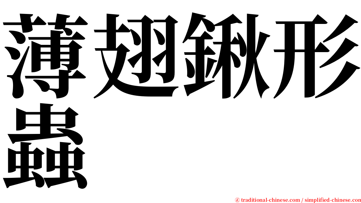 薄翅鍬形蟲 serif font