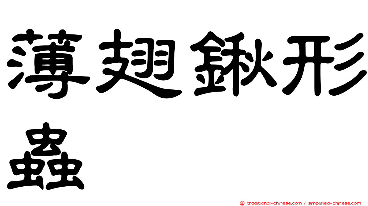 薄翅鍬形蟲