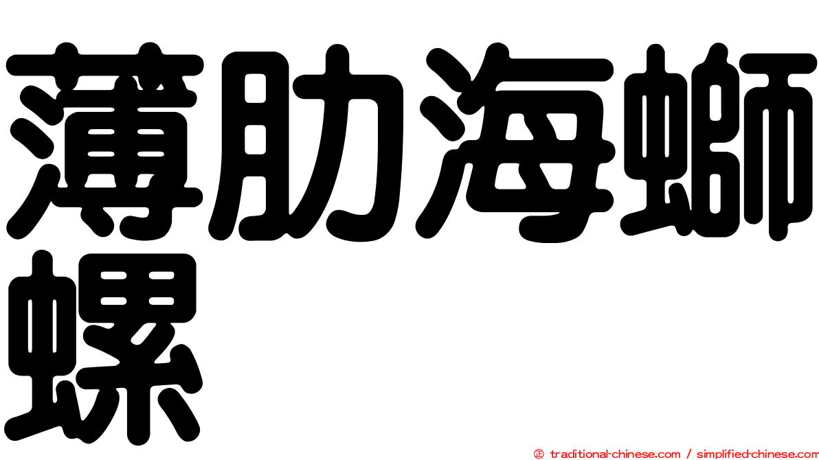 薄肋海螄螺