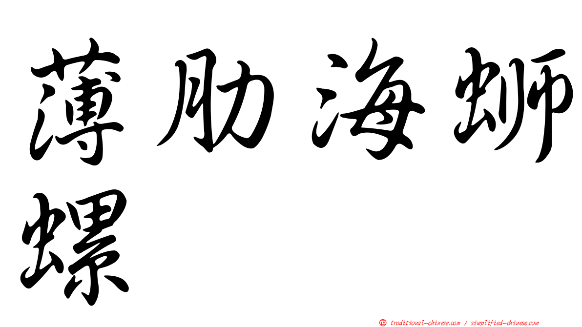 薄肋海螄螺