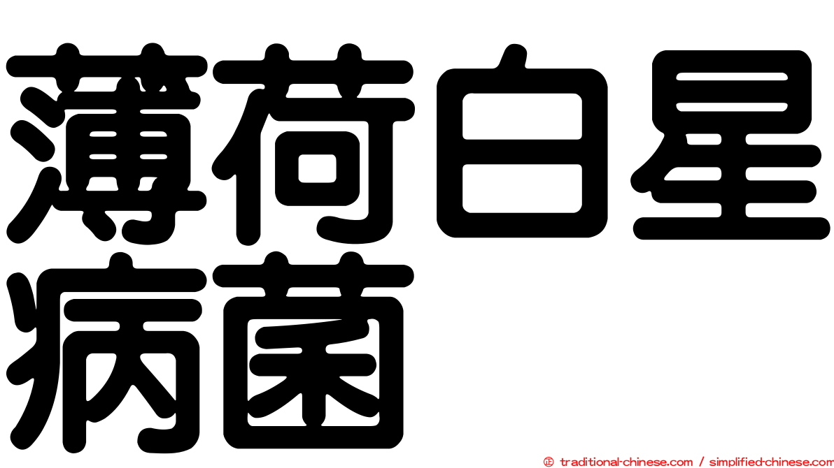 薄荷白星病菌