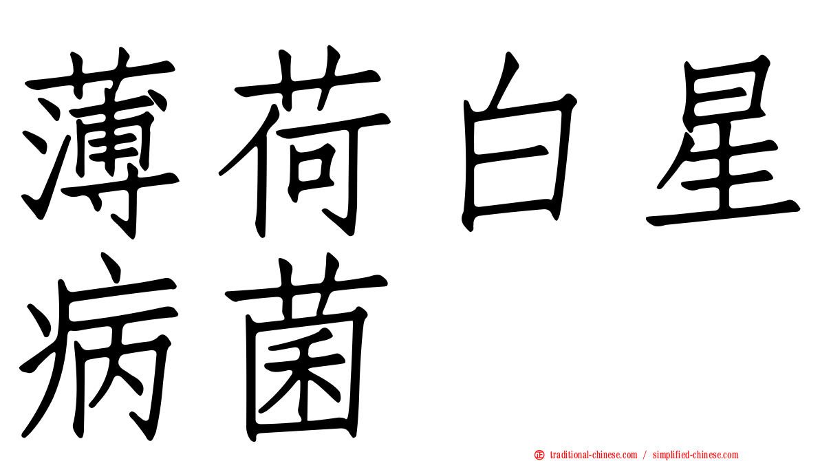 薄荷白星病菌