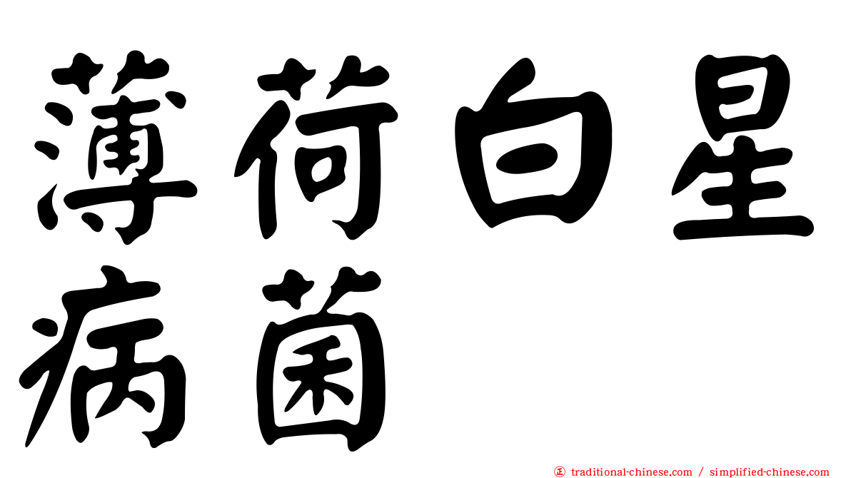 薄荷白星病菌