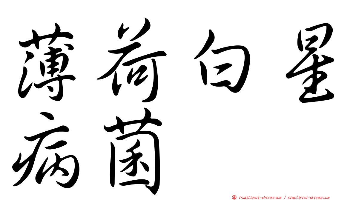 薄荷白星病菌