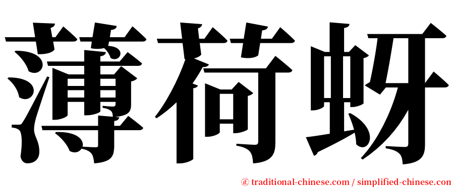 薄荷蚜 serif font