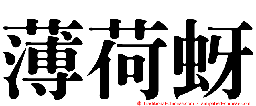 薄荷蚜
