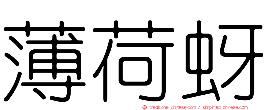 薄荷蚜