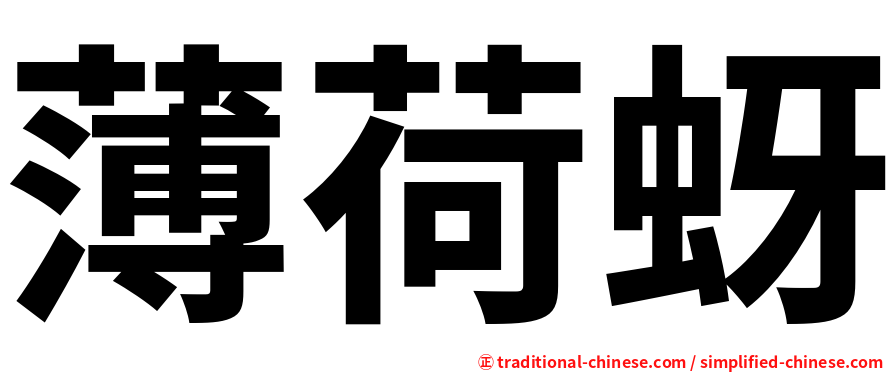 薄荷蚜