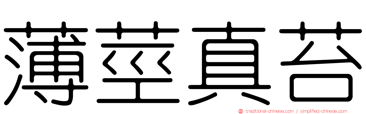 薄莖真苔
