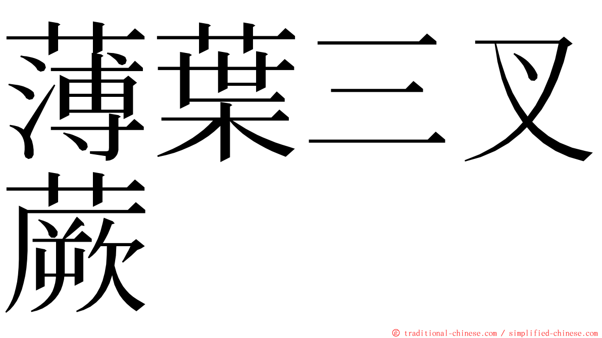 薄葉三叉蕨 ming font