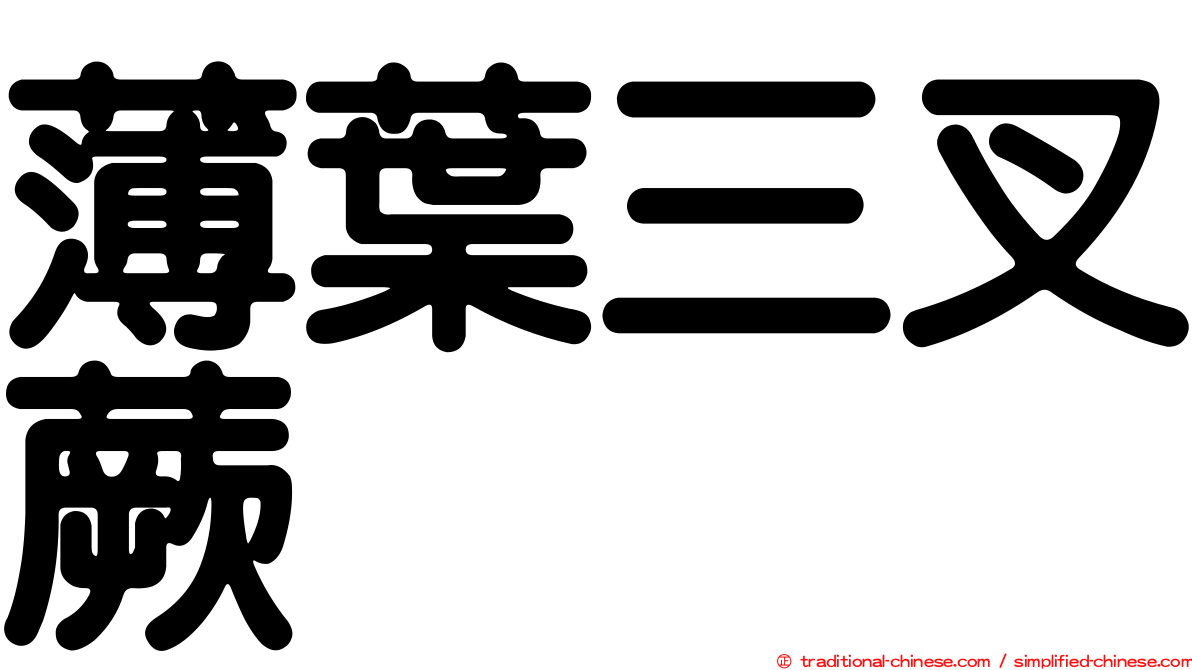 薄葉三叉蕨