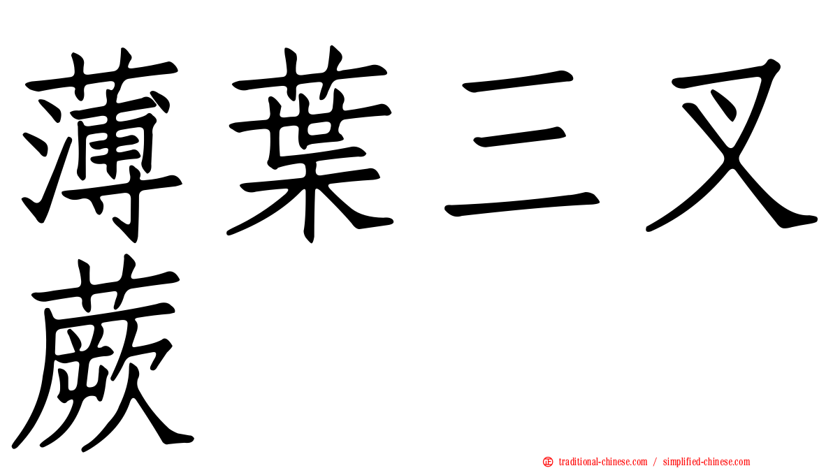 薄葉三叉蕨