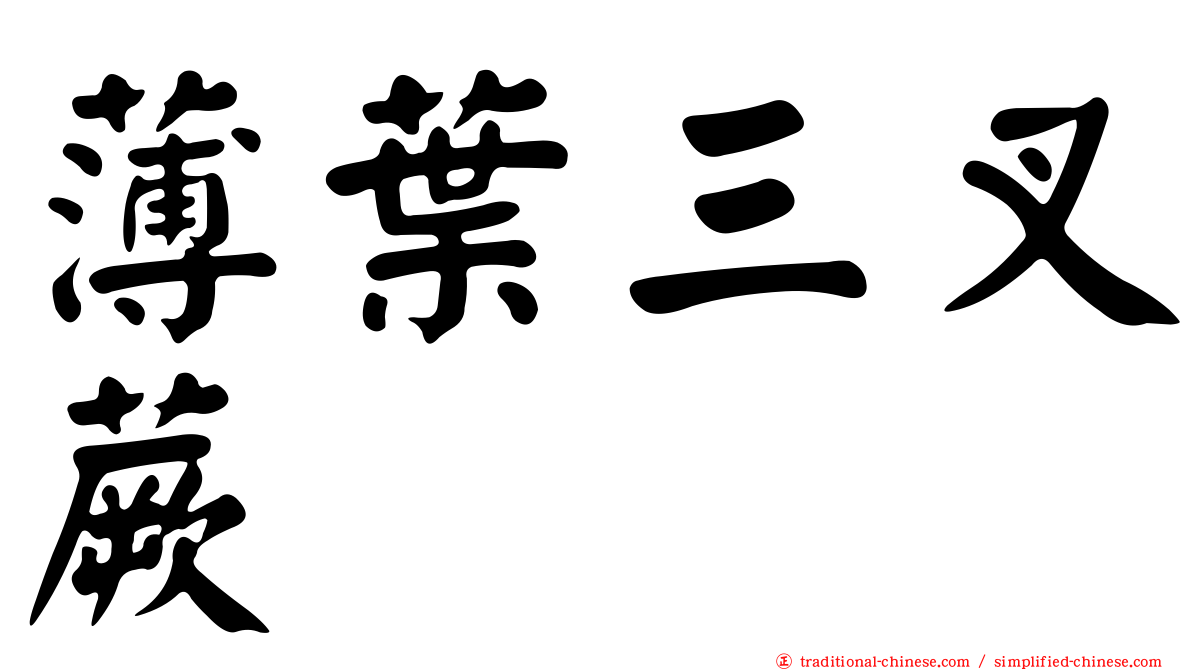 薄葉三叉蕨