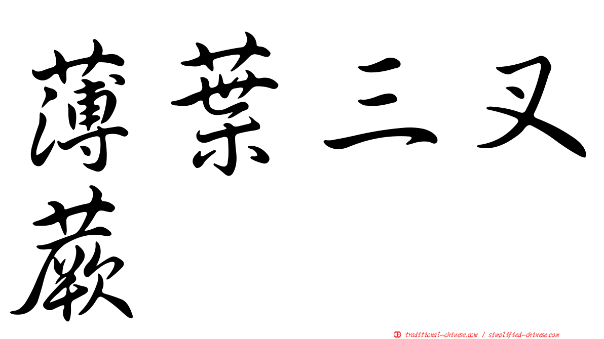 薄葉三叉蕨