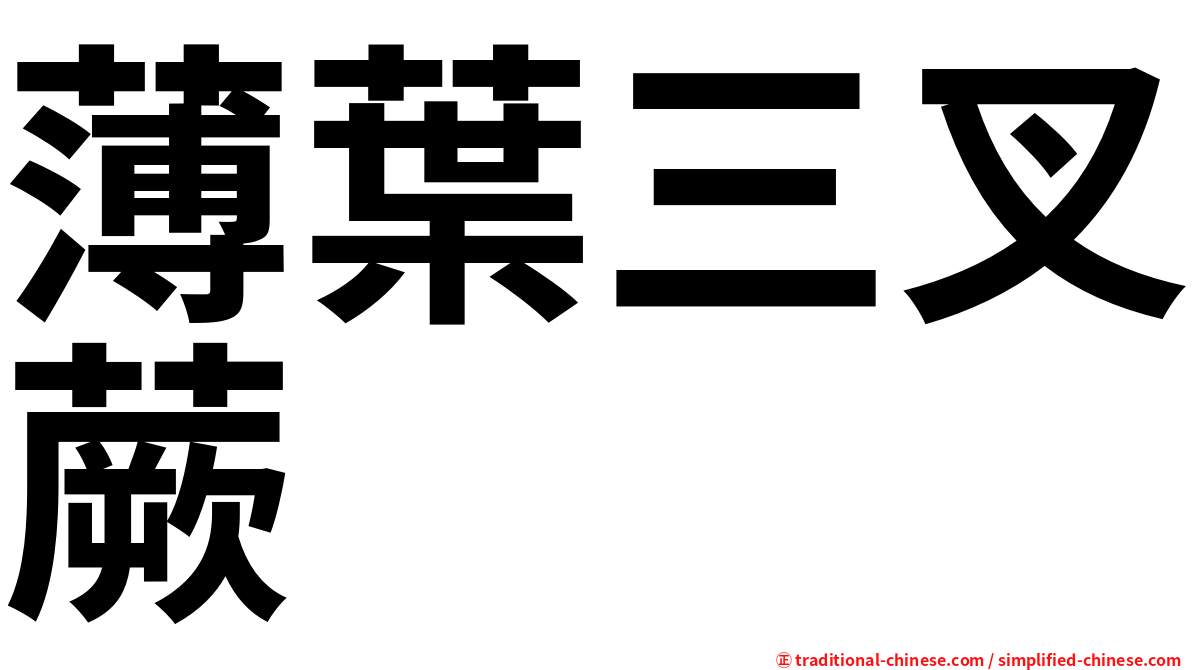 薄葉三叉蕨