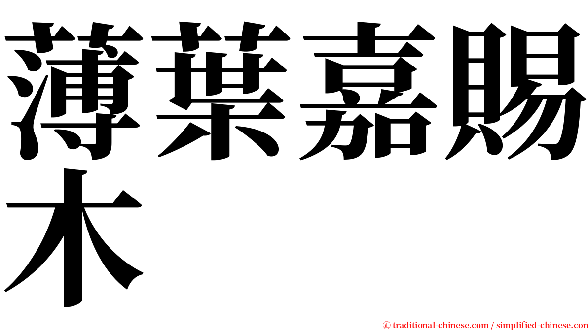 薄葉嘉賜木 serif font