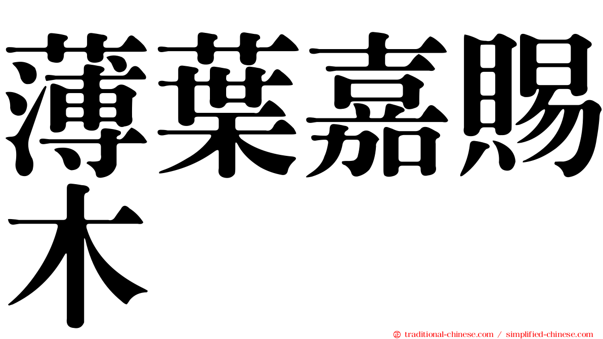 薄葉嘉賜木