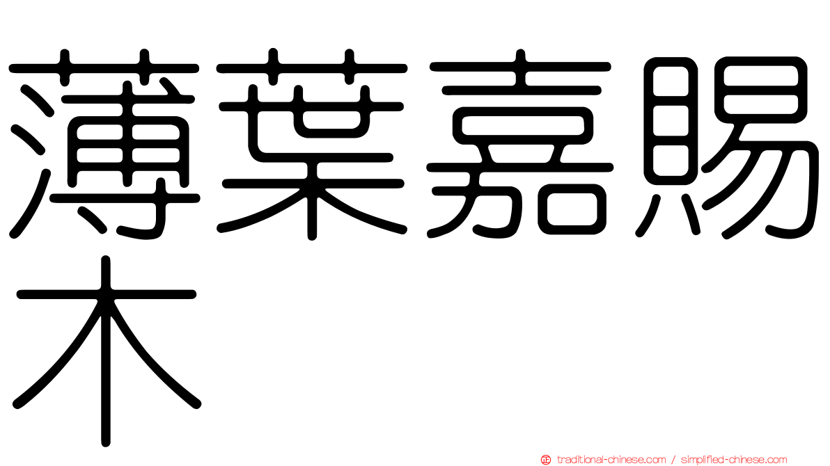 薄葉嘉賜木