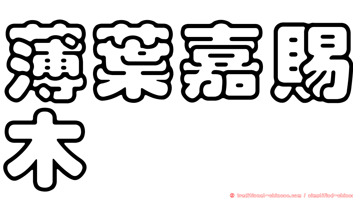 薄葉嘉賜木
