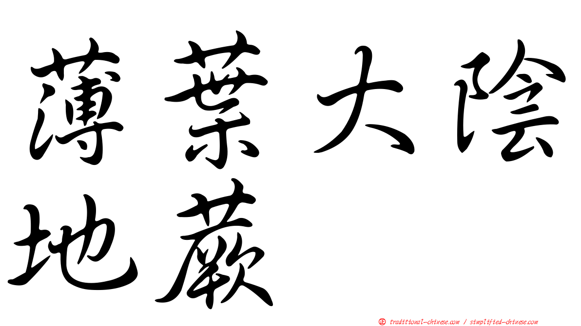 薄葉大陰地蕨