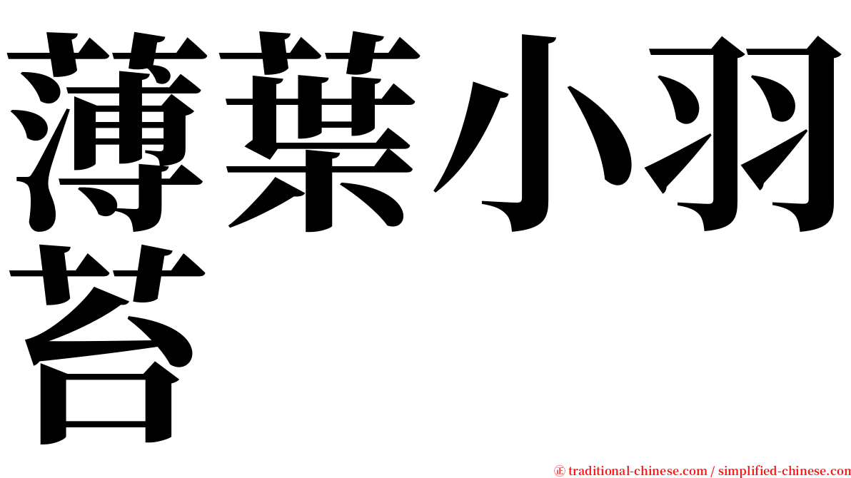 薄葉小羽苔 serif font
