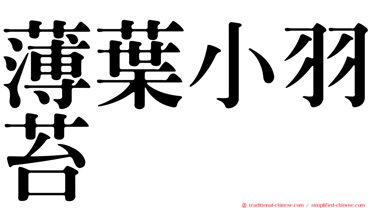 薄葉小羽苔