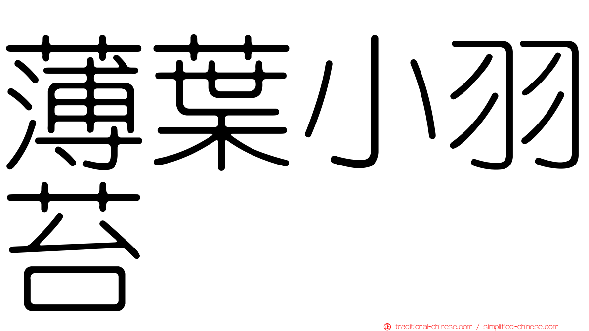 薄葉小羽苔