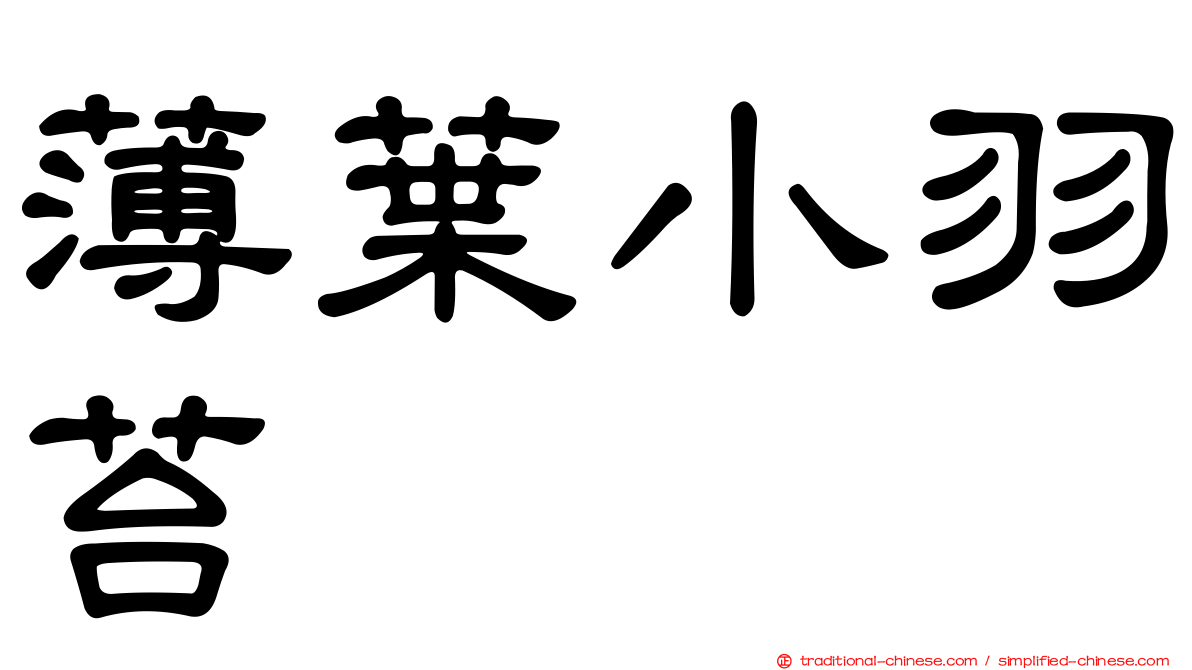 薄葉小羽苔