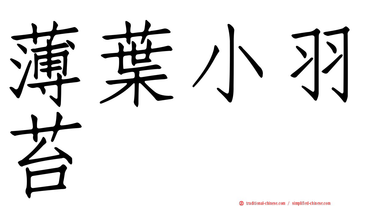 薄葉小羽苔