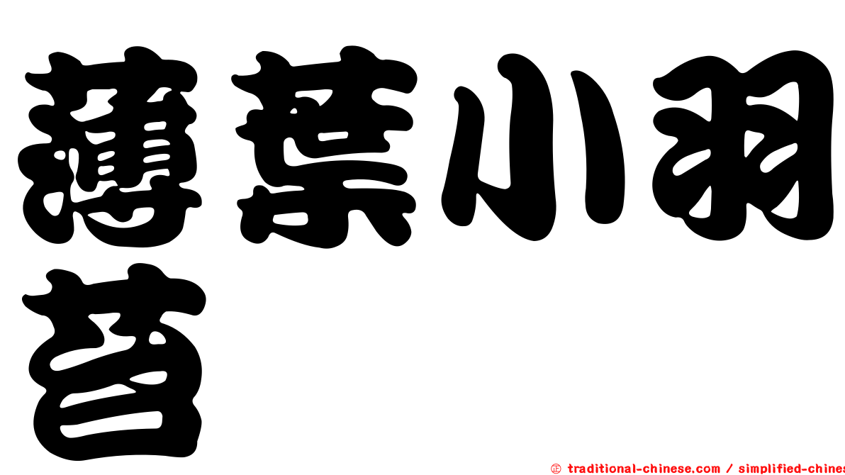 薄葉小羽苔