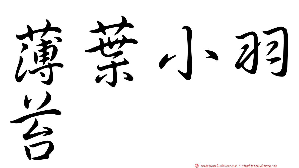 薄葉小羽苔