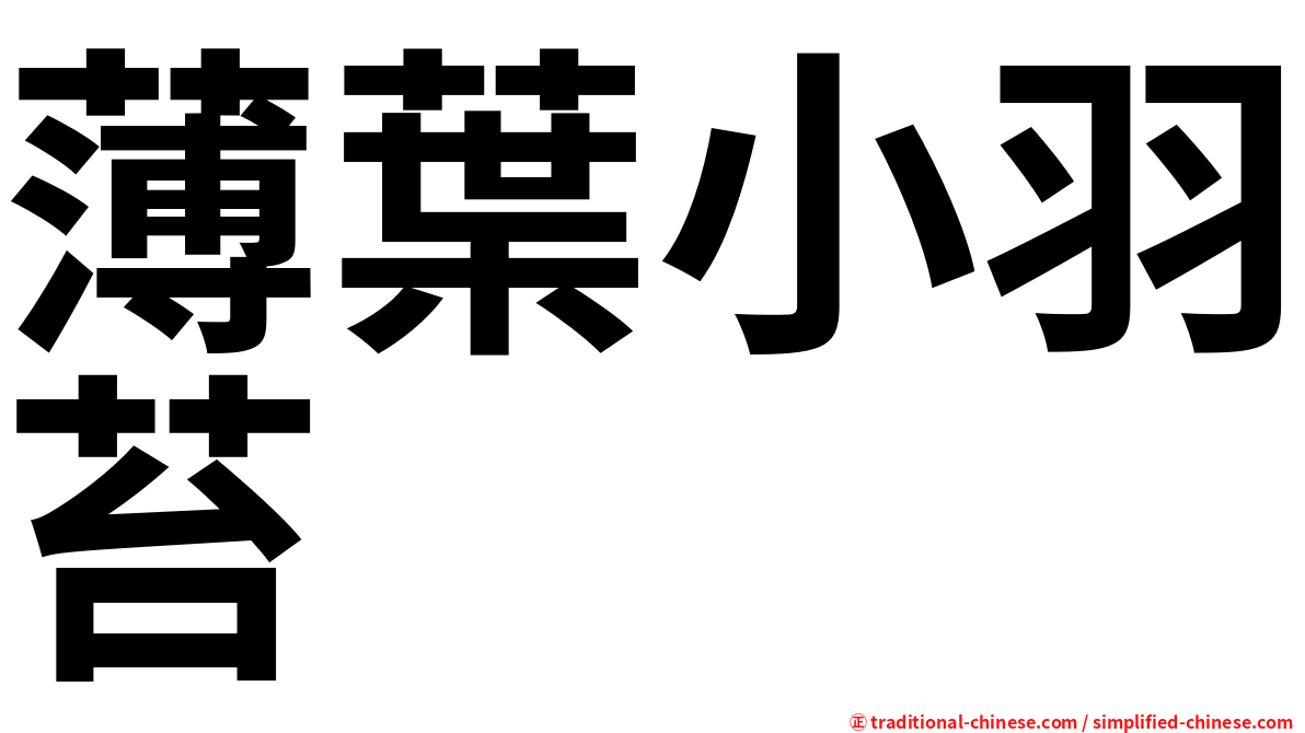 薄葉小羽苔