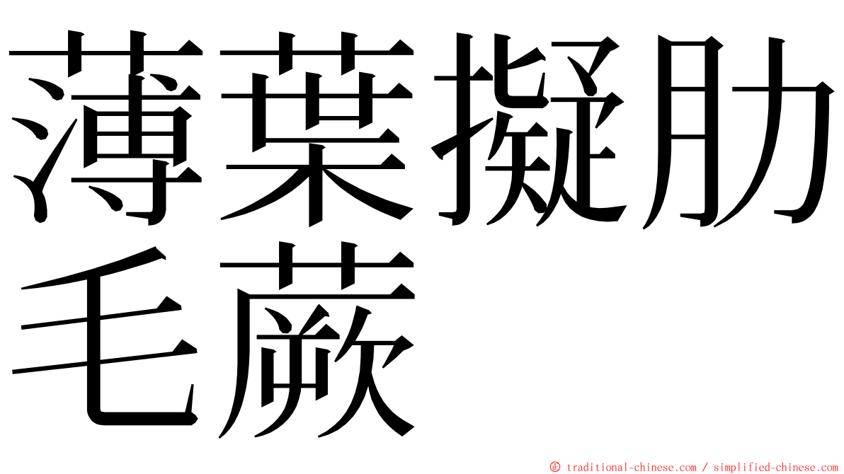 薄葉擬肋毛蕨 ming font