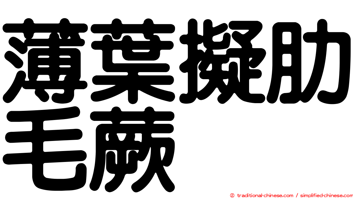 薄葉擬肋毛蕨