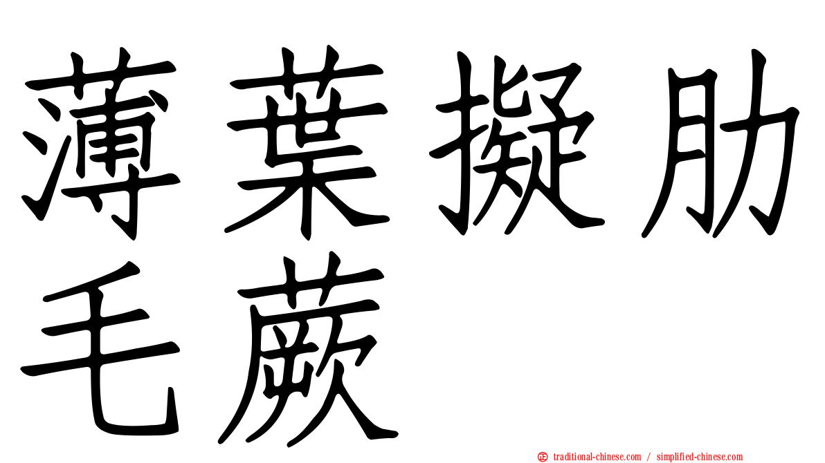 薄葉擬肋毛蕨