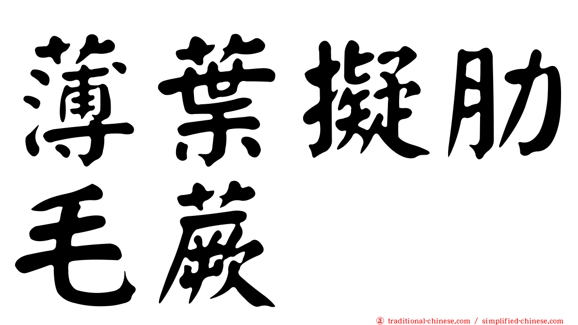 薄葉擬肋毛蕨