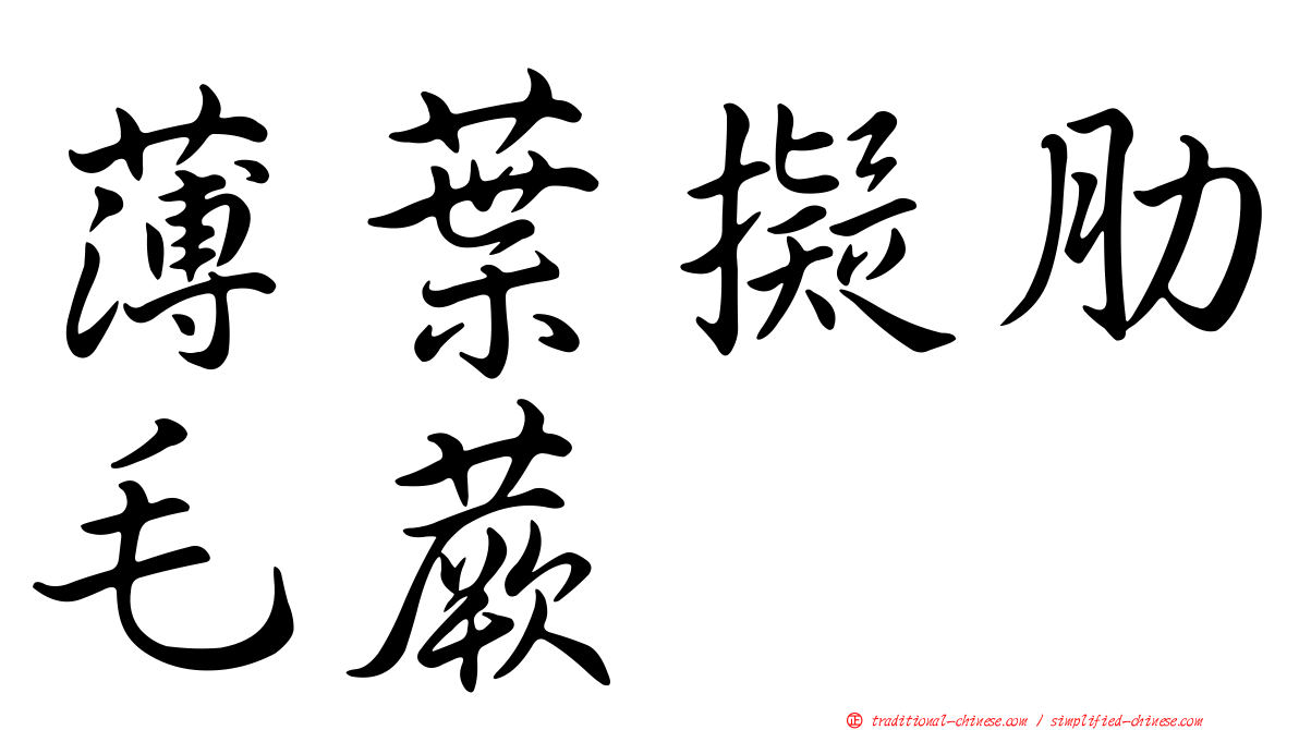 薄葉擬肋毛蕨