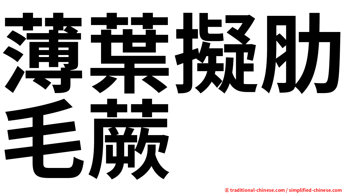 薄葉擬肋毛蕨