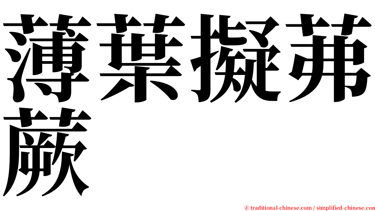 薄葉擬茀蕨 serif font