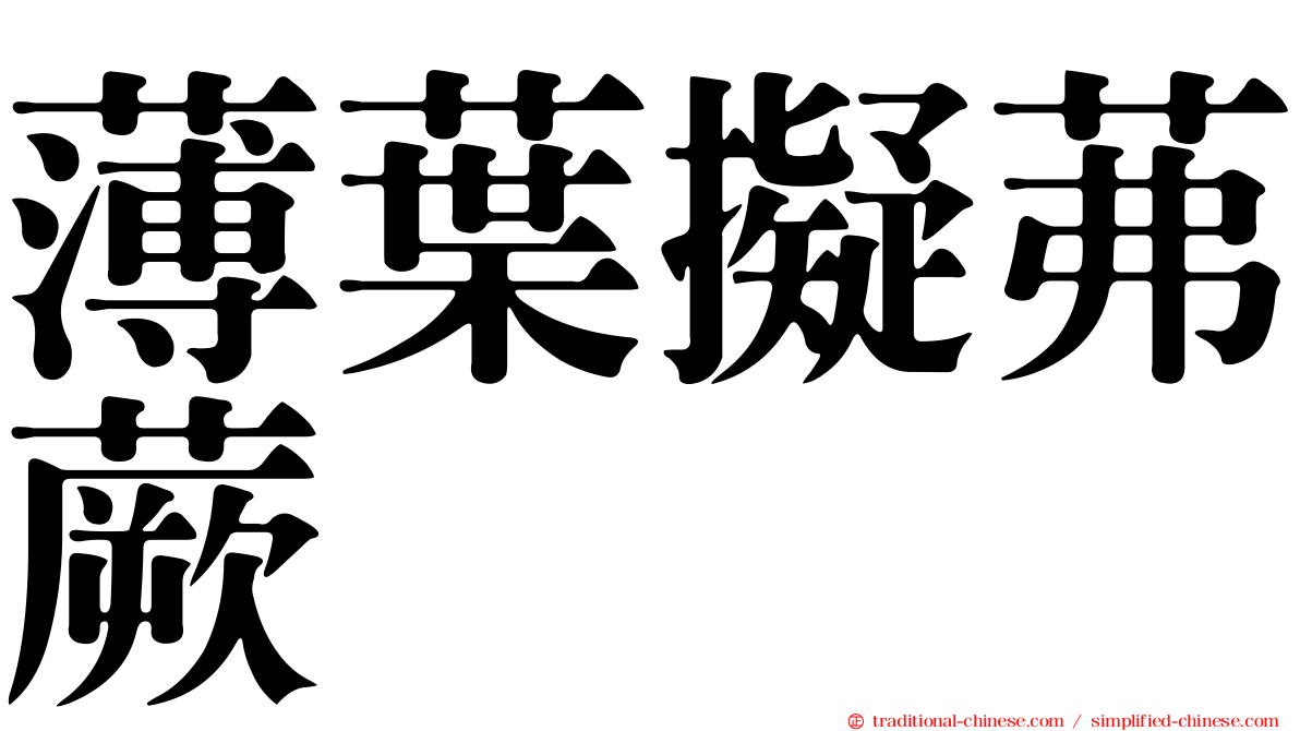 薄葉擬茀蕨